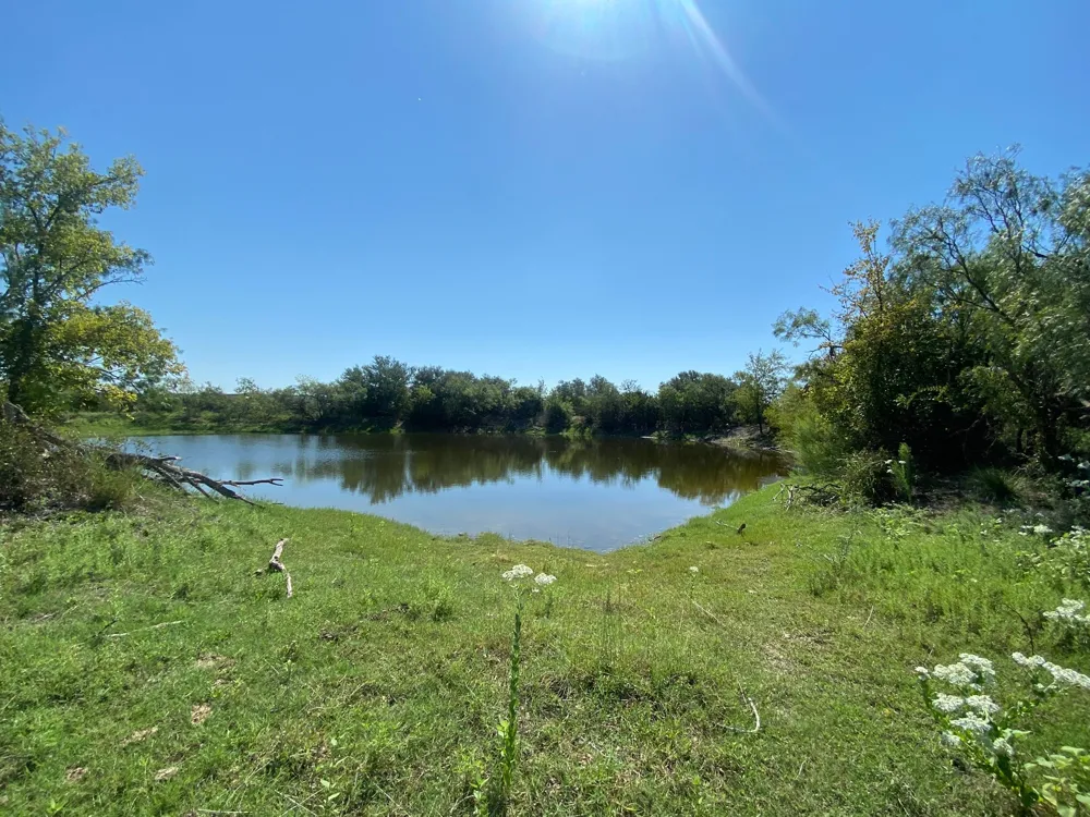 91 State Highway 16 S Goldthwaite, TX 76844