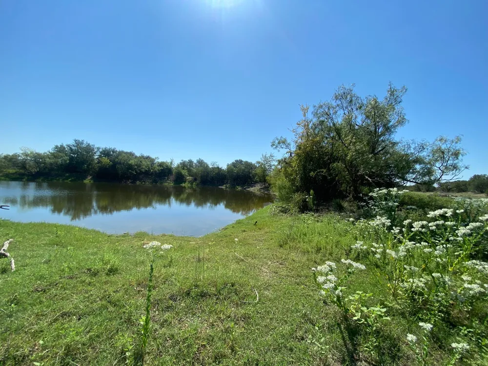 91 State Highway 16 S Goldthwaite, TX 76844