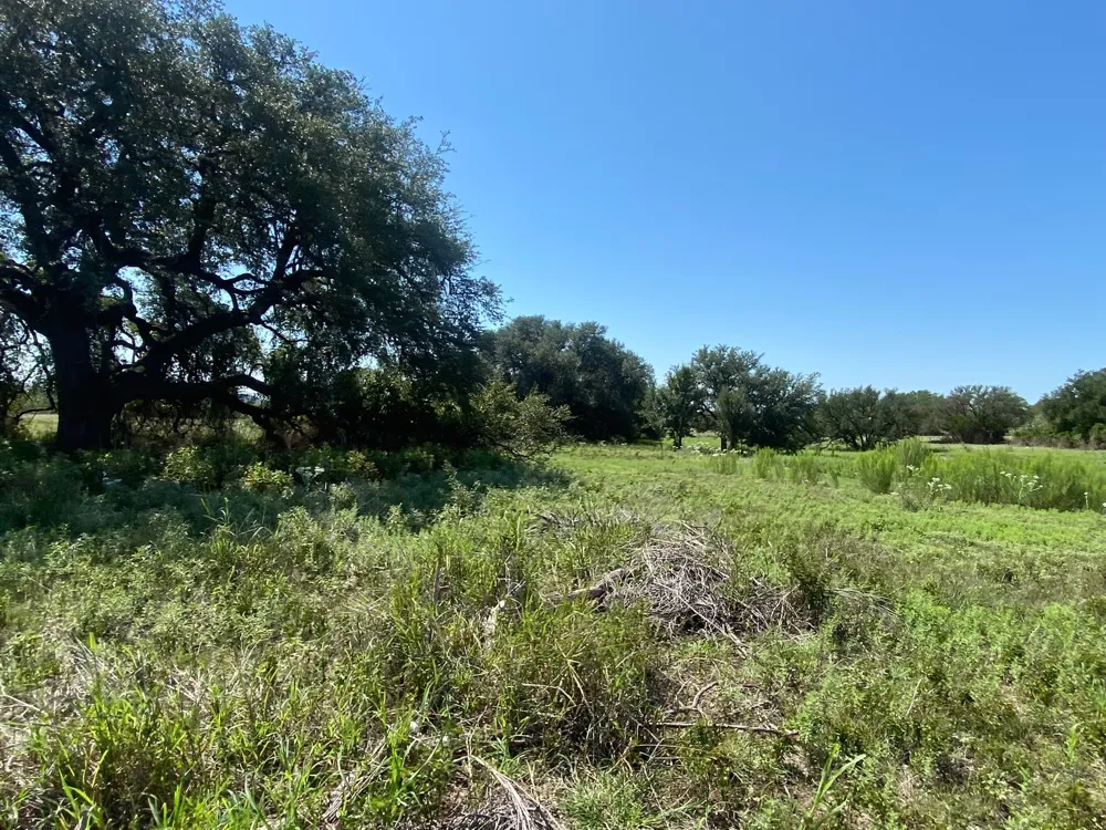 91 State Highway 16 S Goldthwaite, TX 76844