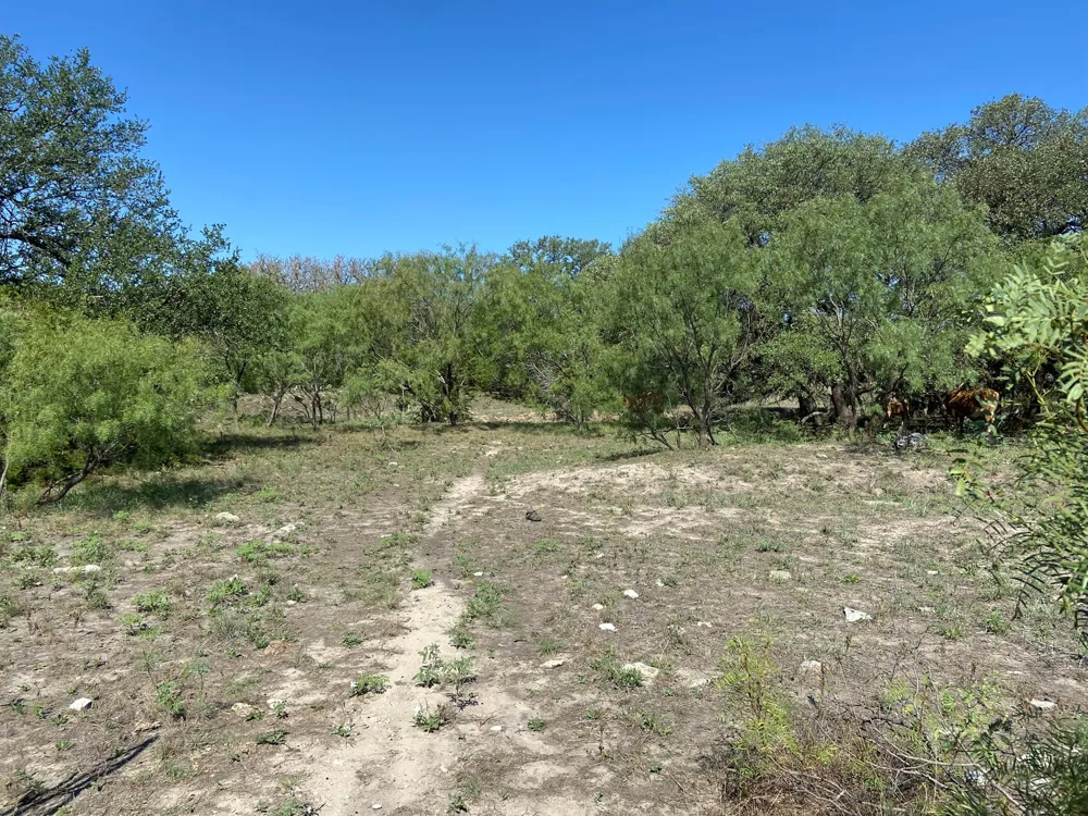 91 State Highway 16 S Goldthwaite, TX 76844