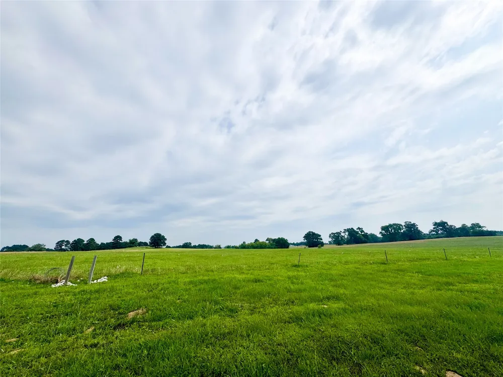 CR 2320 Pittsburg, TX 75686