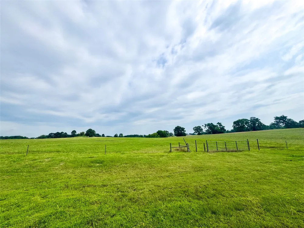 CR 2320 Pittsburg, TX 75686