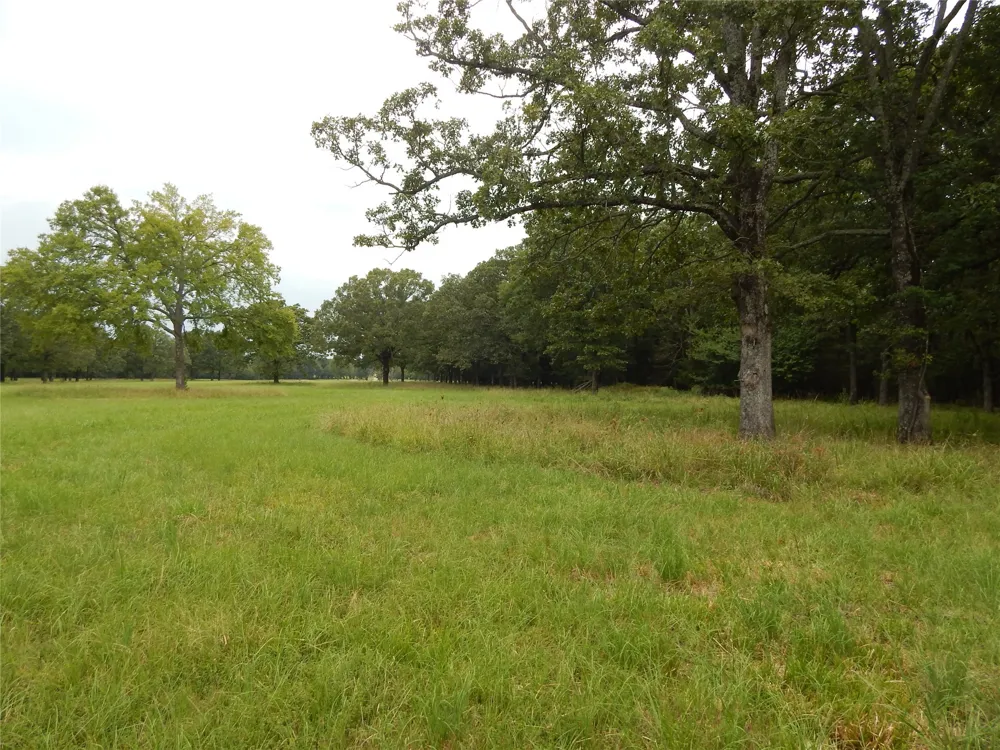 14 Lakeside Estates Bagwell, TX 75412