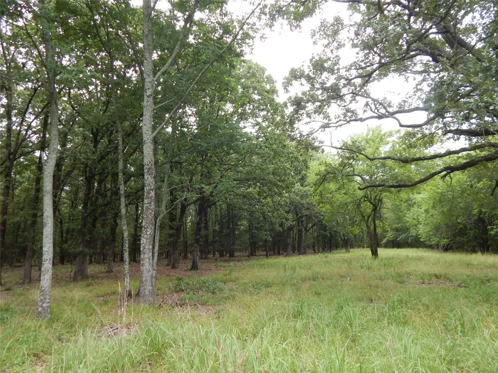 14 Lakeside Estates Bagwell, TX 75412