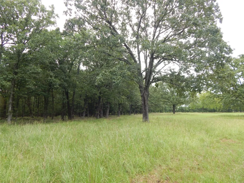 14 Lakeside Estates Bagwell, TX 75412