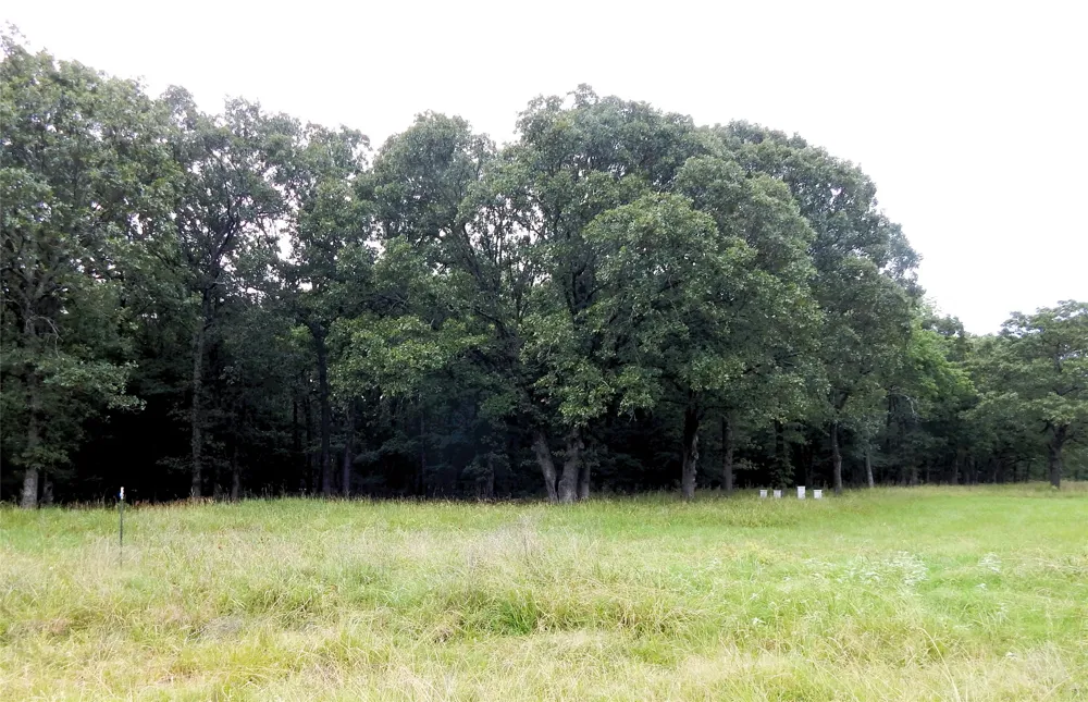 14 Lakeside Estates Bagwell, TX 75412