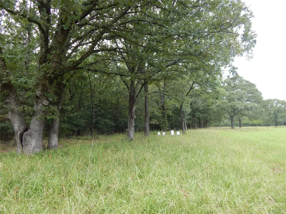 14 Lakeside Estates Bagwell, TX 75412