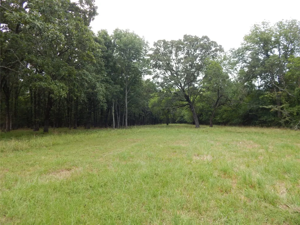 14 Lakeside Estates Bagwell, TX 75412