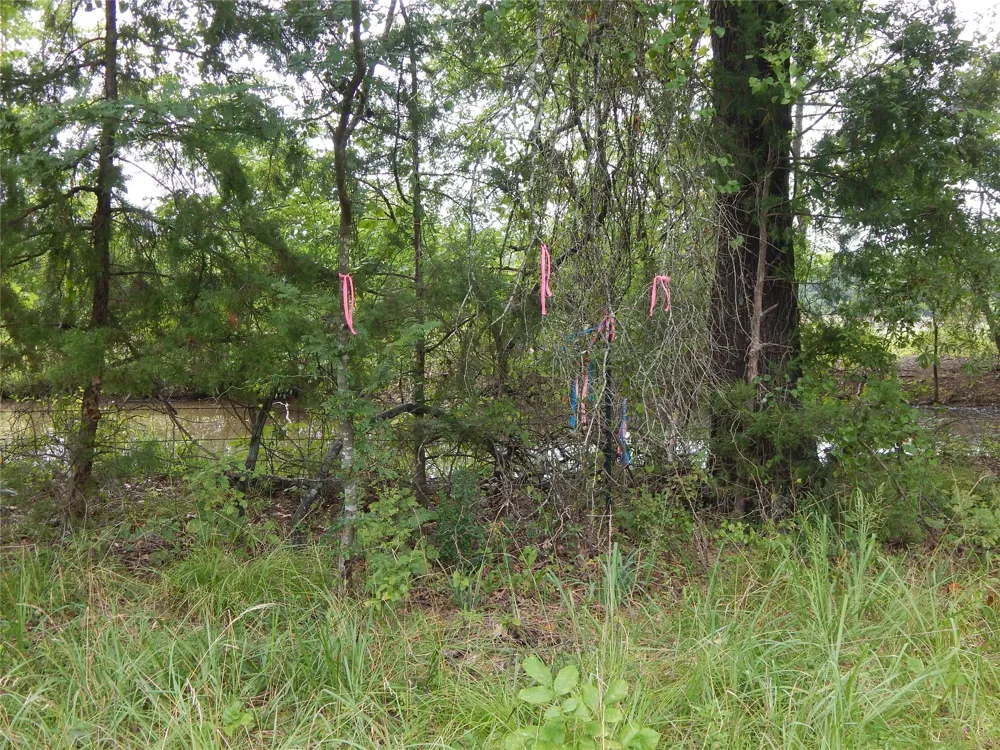 14 Lakeside Estates Bagwell, TX 75412