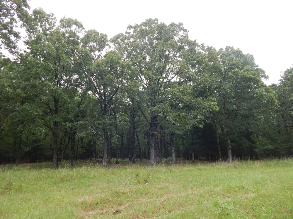 14 Lakeside Estates Bagwell, TX 75412
