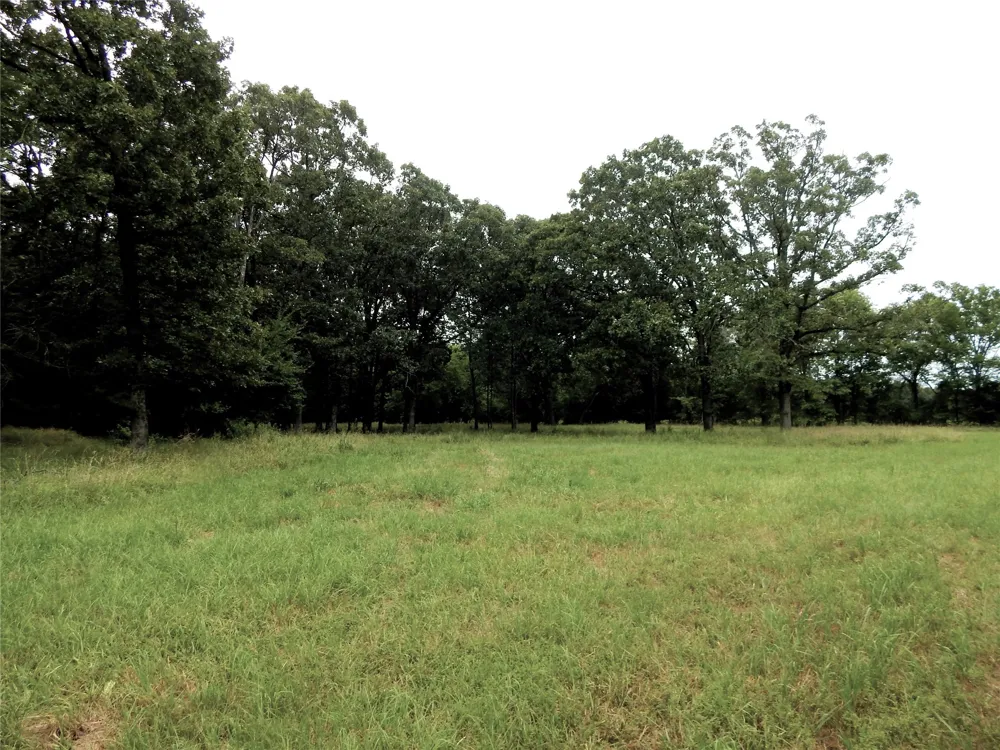 14 Lakeside Estates Bagwell, TX 75412