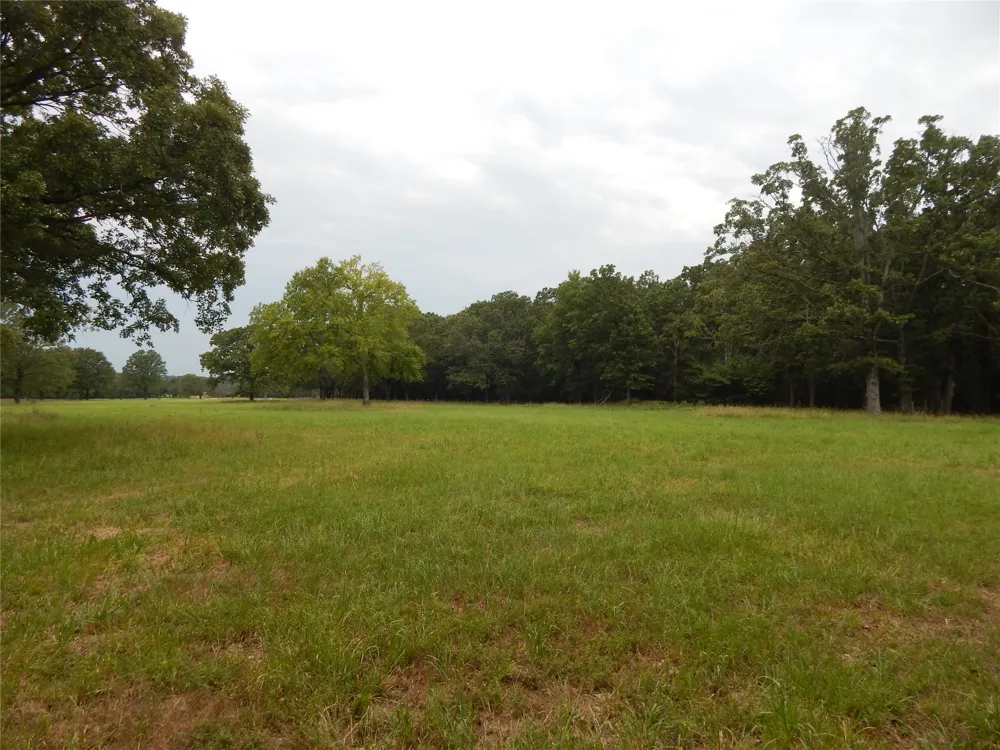 14 Lakeside Estates Bagwell, TX 75412