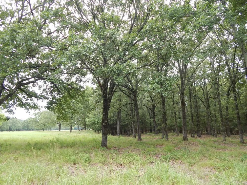 14 Lakeside Estates Bagwell, TX 75412
