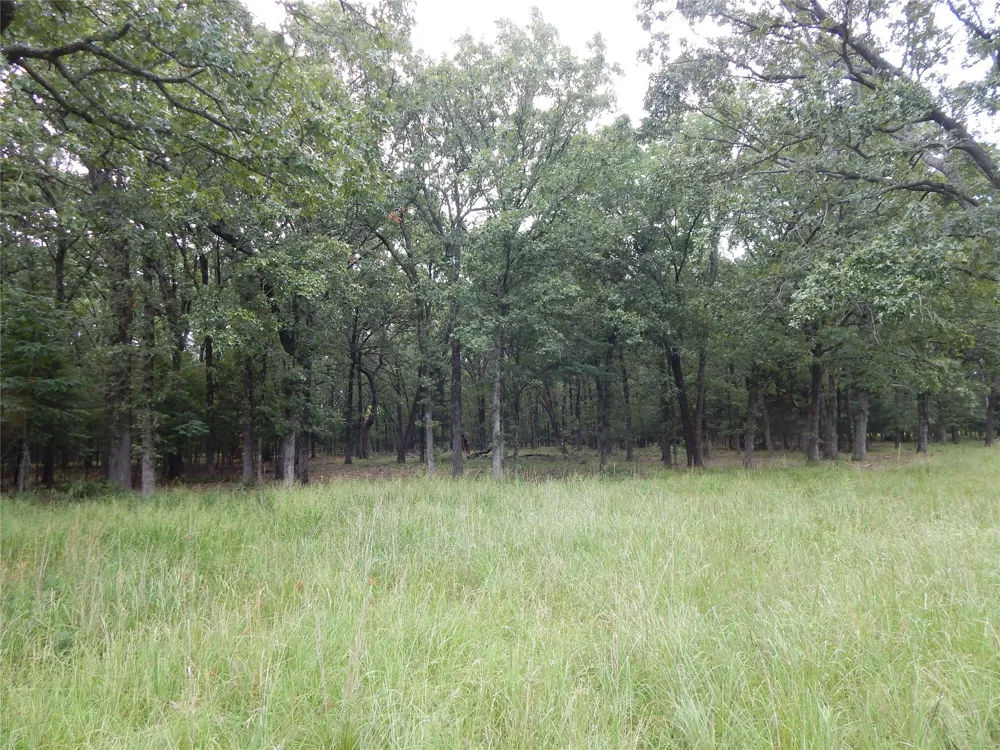 14 Lakeside Estates Bagwell, TX 75412