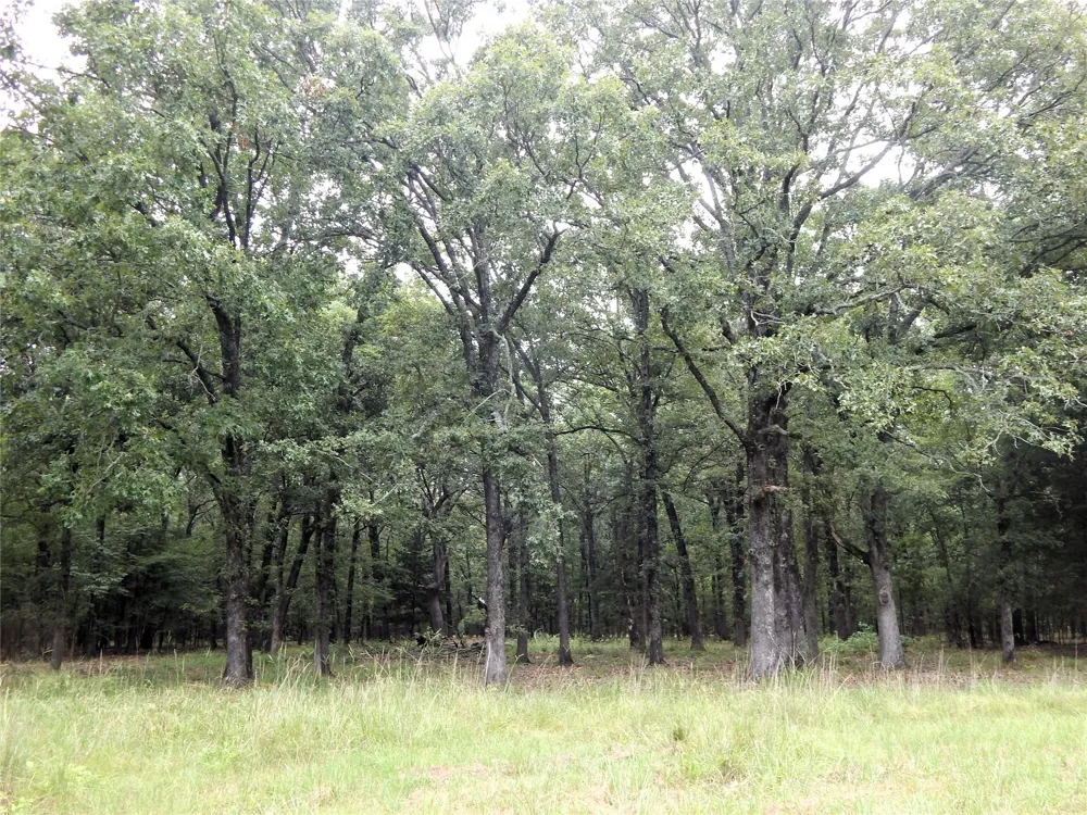 14 Lakeside Estates Bagwell, TX 75412