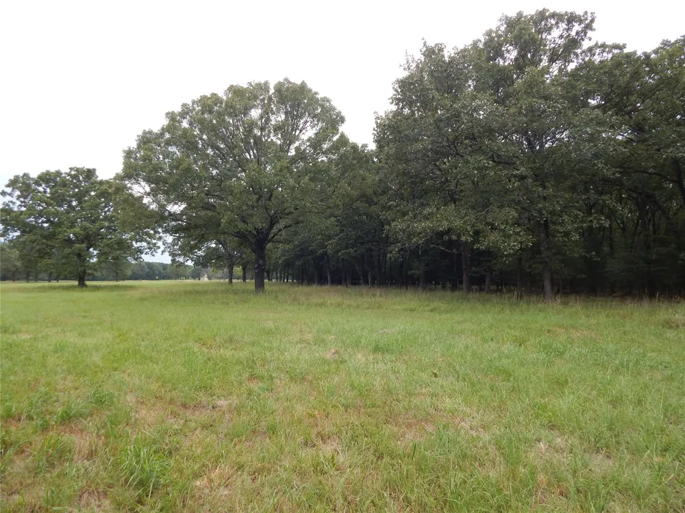 14 Lakeside Estates Bagwell, TX 75412