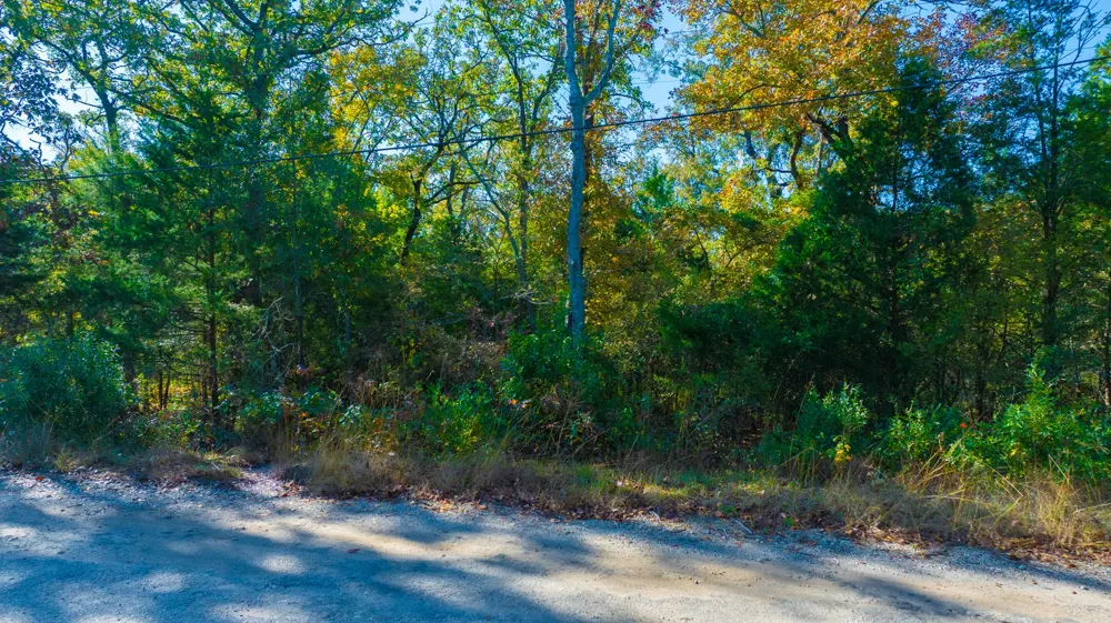 Cottonwood Lane Murchison, TX 75778