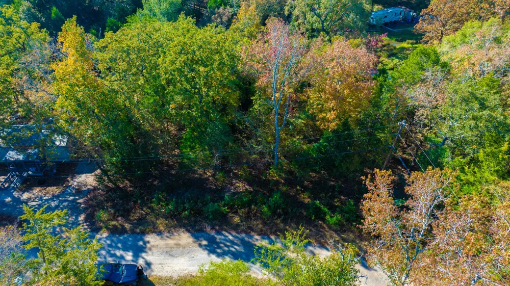 Cottonwood Lane Murchison, TX 75778