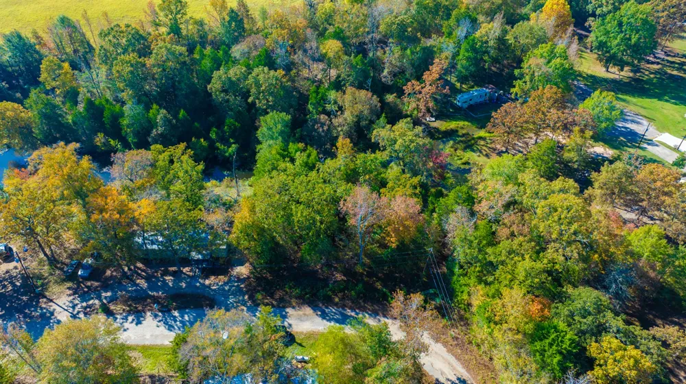 Cottonwood Lane Murchison, TX 75778