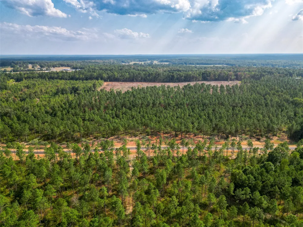 231 Millwood Loop #16 Minden, LA 71055