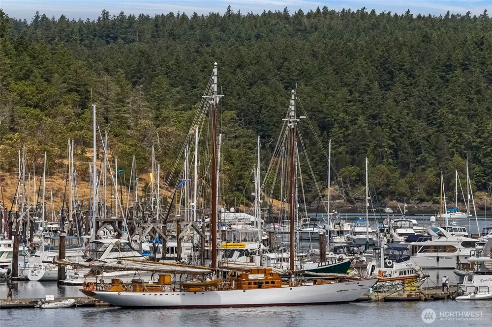 241 Warbass Way #A202 Friday Harbor, WA 98250