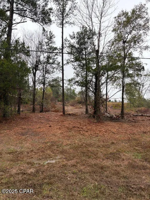 4593 Meadowview Road
