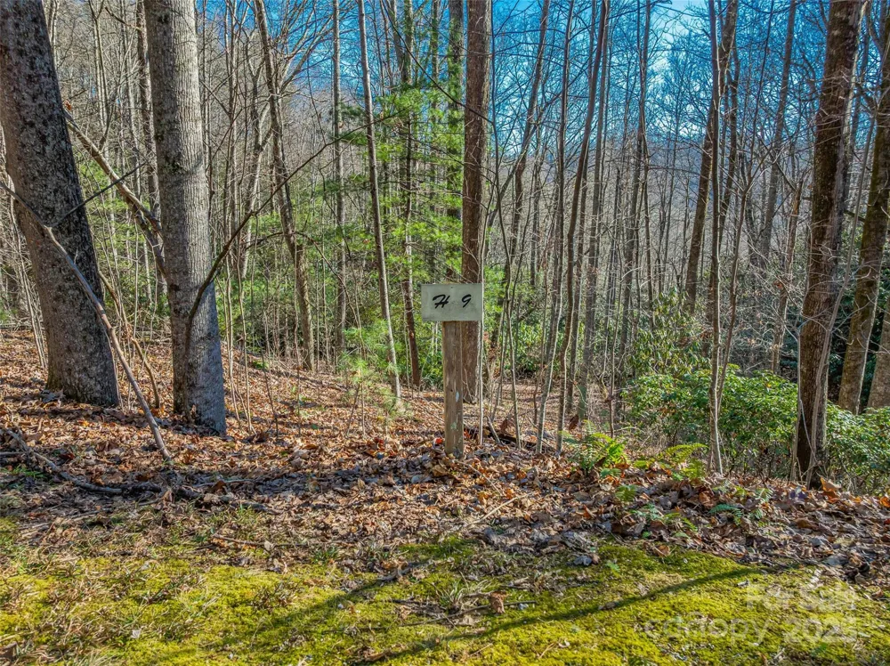 TBD Ladys Fern Trail #9 Laurel Park, NC 28739