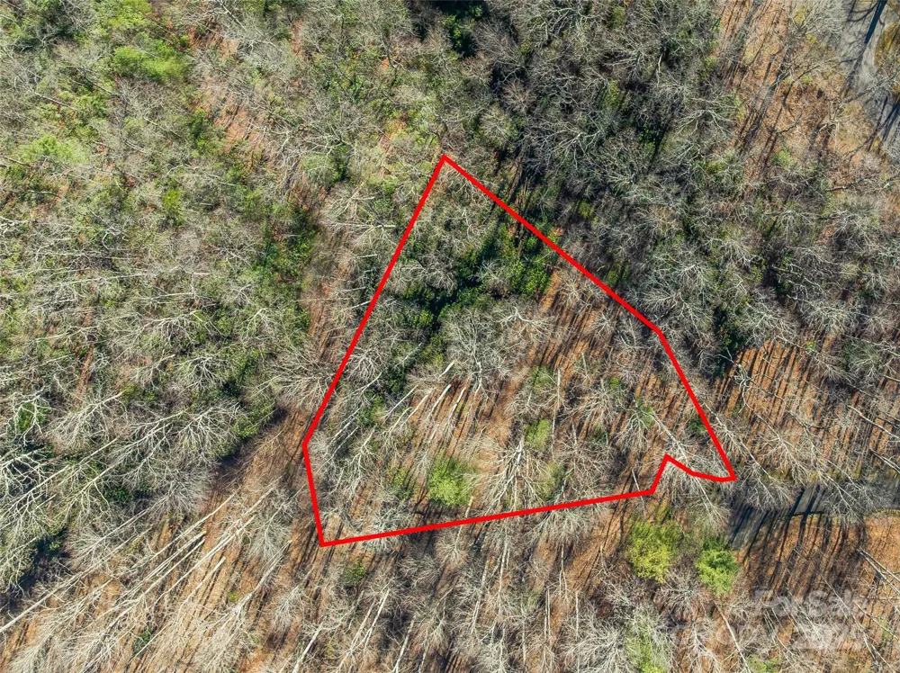 TBD Ladys Fern Trail #9 Laurel Park, NC 28739