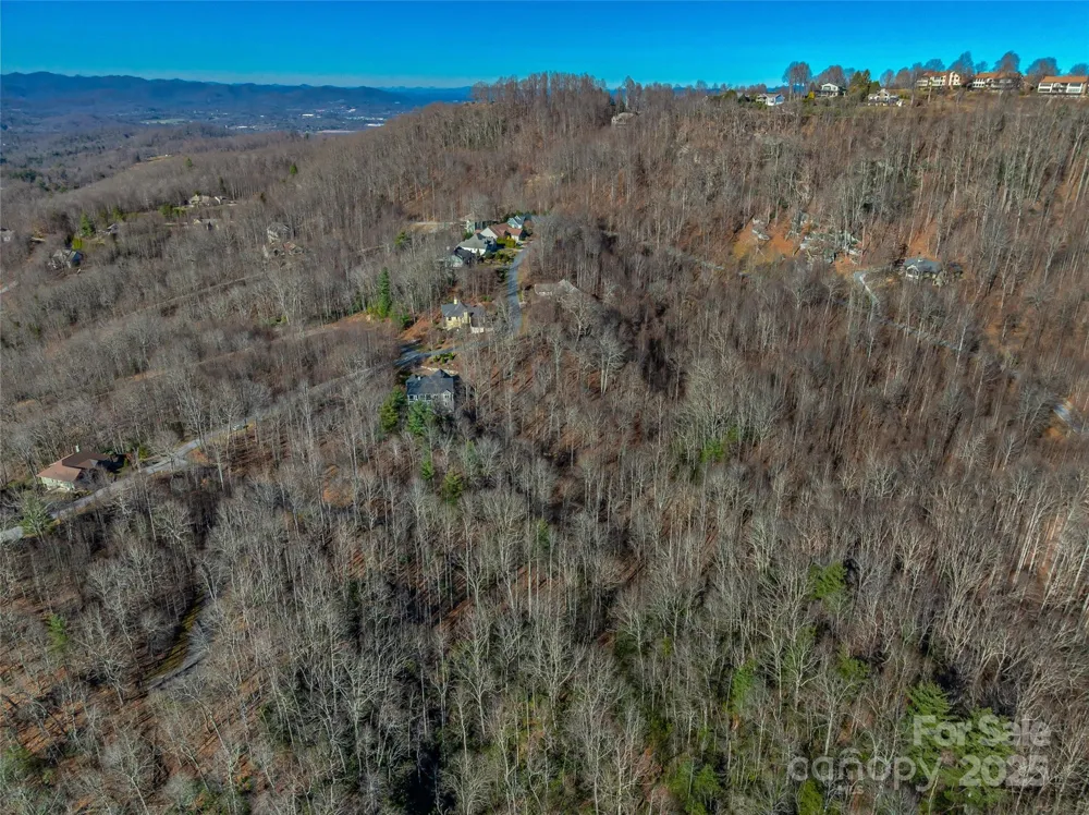 TBD Ladys Fern Trail #9 Laurel Park, NC 28739