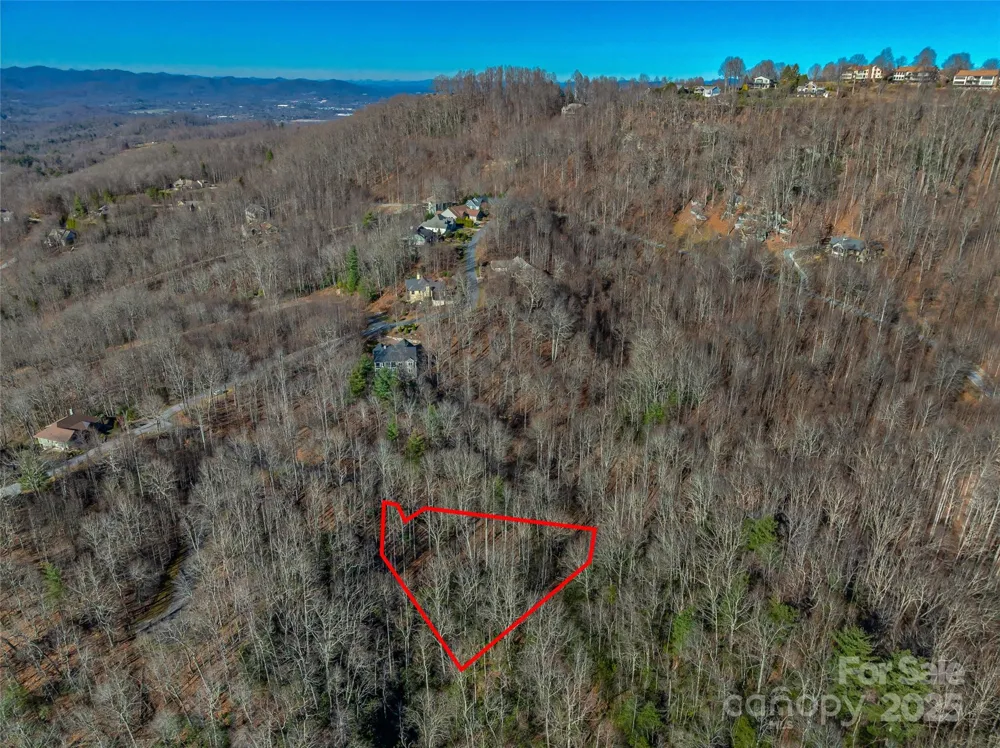 TBD Ladys Fern Trail #9 Laurel Park, NC 28739