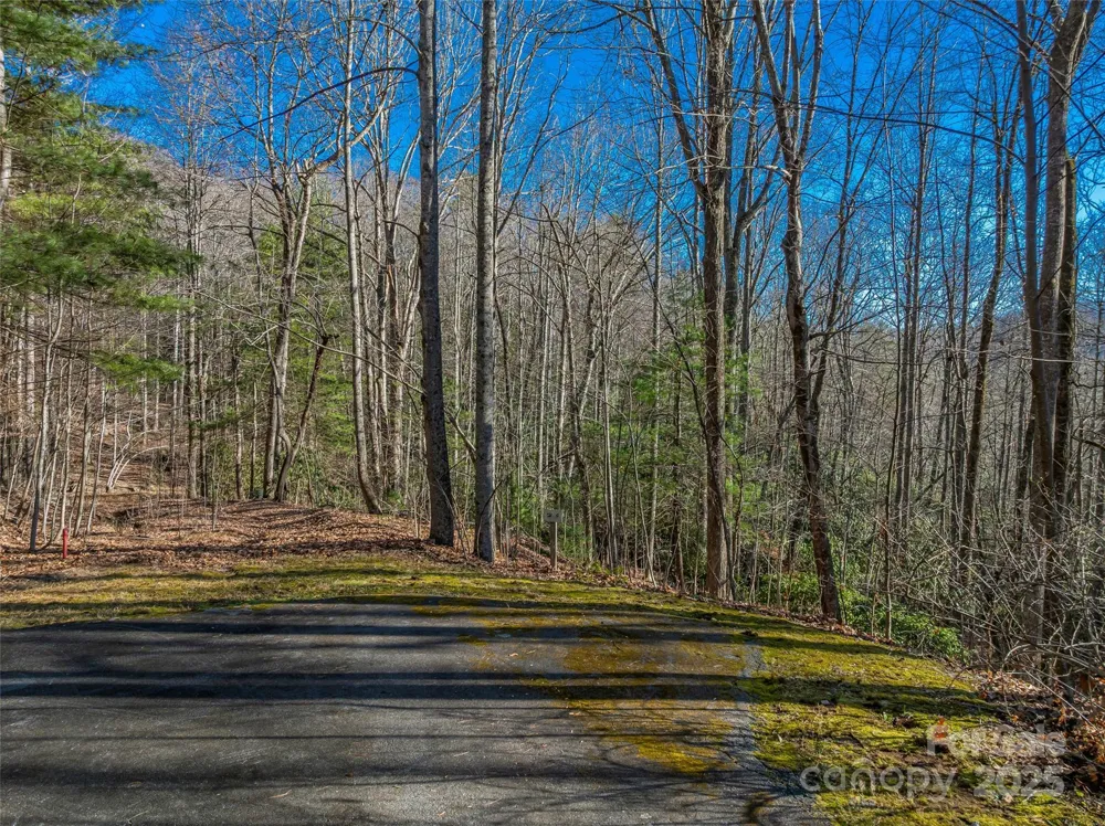 TBD Ladys Fern Trail #9 Laurel Park, NC 28739
