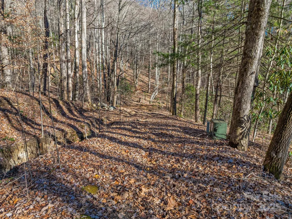 TBD Ladys Fern Trail #9 Laurel Park, NC 28739