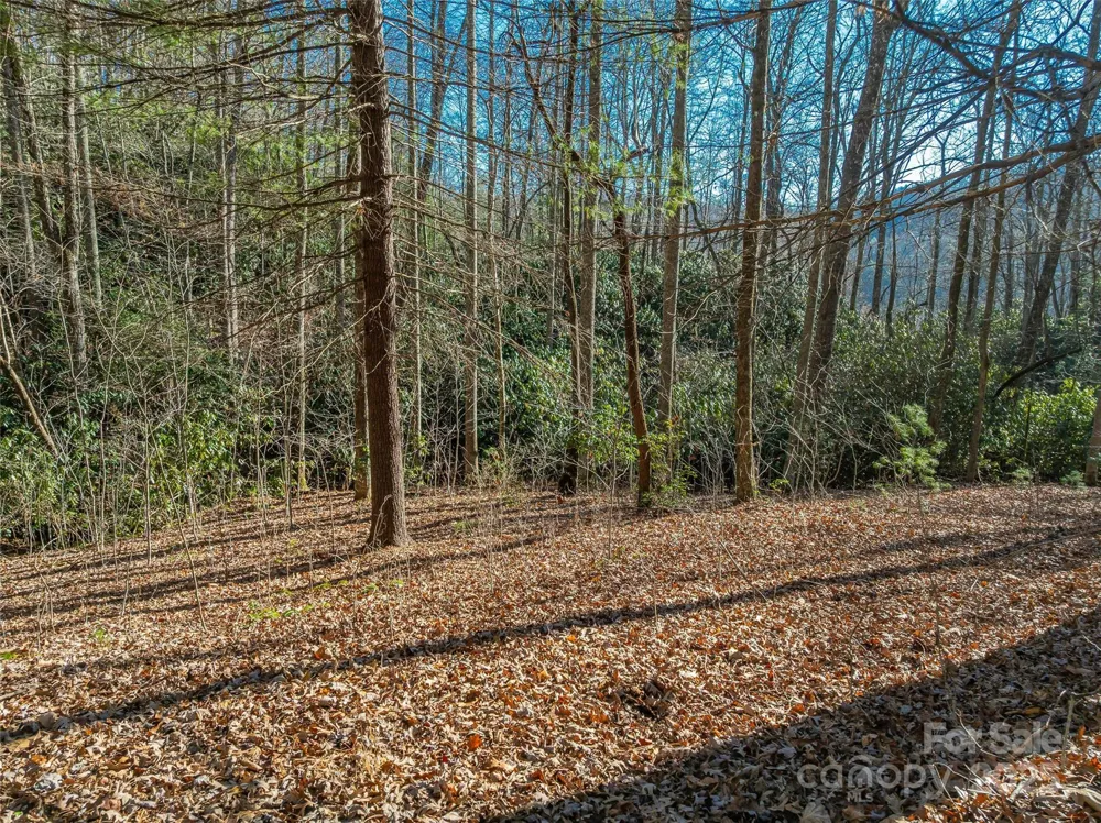 TBD Ladys Fern Trail #9 Laurel Park, NC 28739
