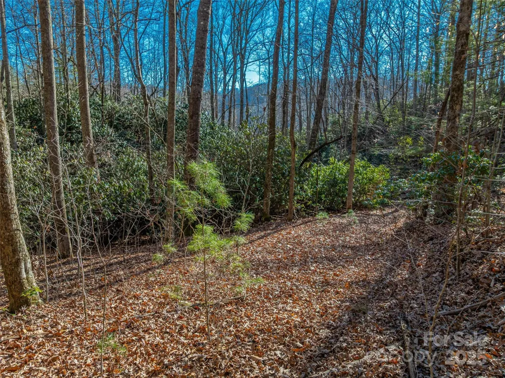 TBD Ladys Fern Trail #9 Laurel Park, NC 28739
