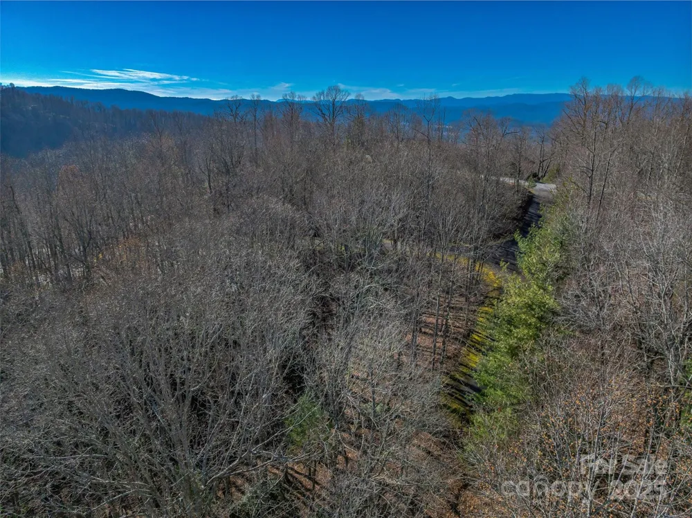 TBD Ladys Fern Trail #9 Laurel Park, NC 28739
