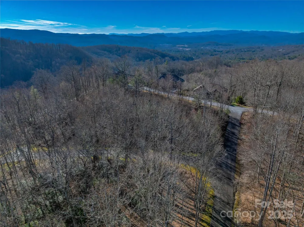 TBD Ladys Fern Trail #9 Laurel Park, NC 28739