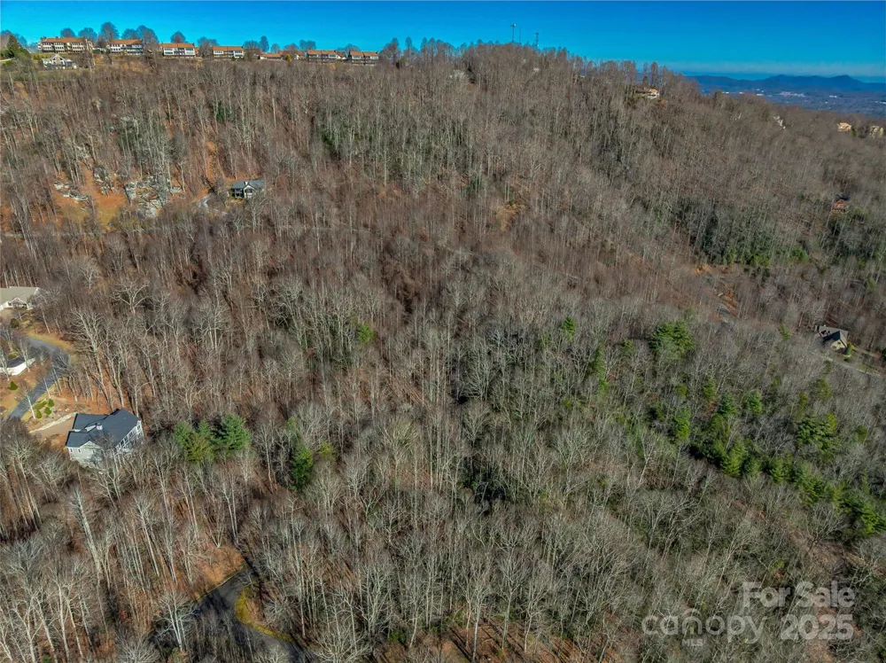 TBD Ladys Fern Trail #9 Laurel Park, NC 28739