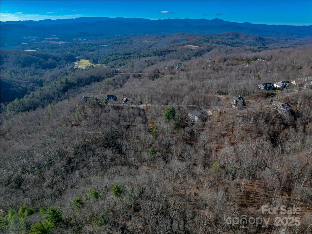 TBD Ladys Fern Trail #9 Laurel Park, NC 28739