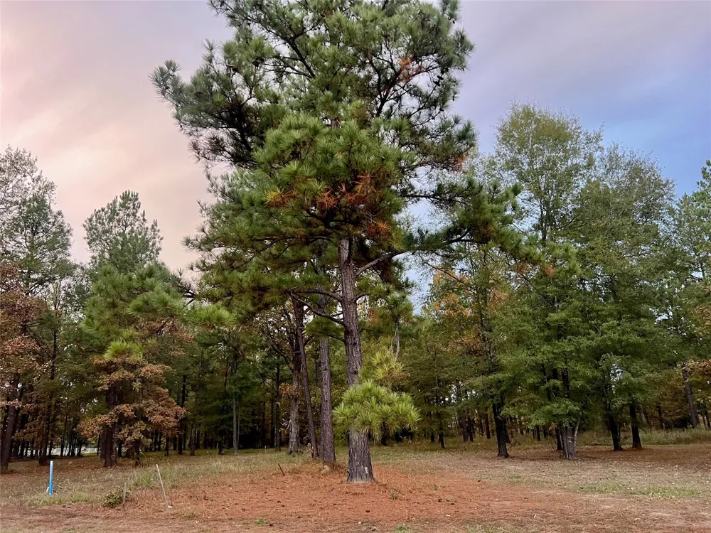 Lochinvar Lane #2 Shreveport, LA 71106