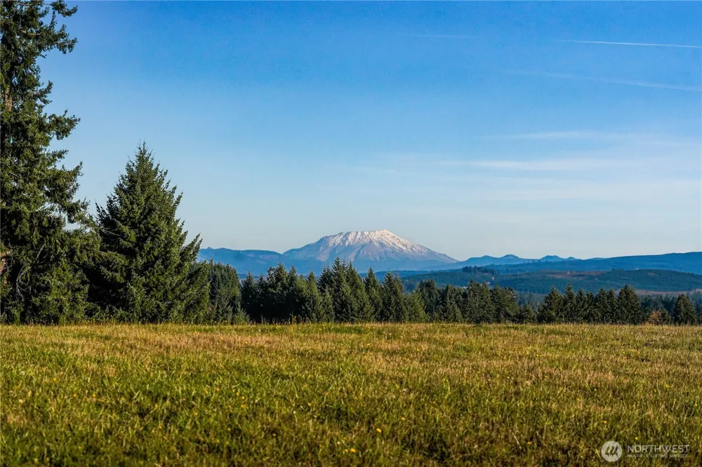 161 Cooper Hill Court Castle Rock, WA 98611