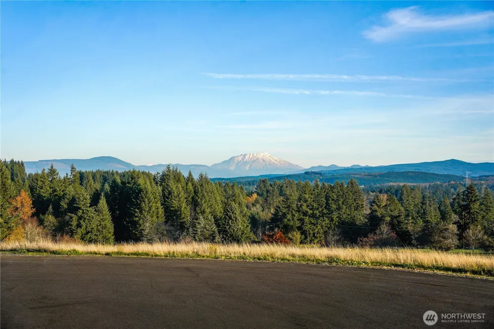 161 Cooper Hill Court Castle Rock, WA 98611