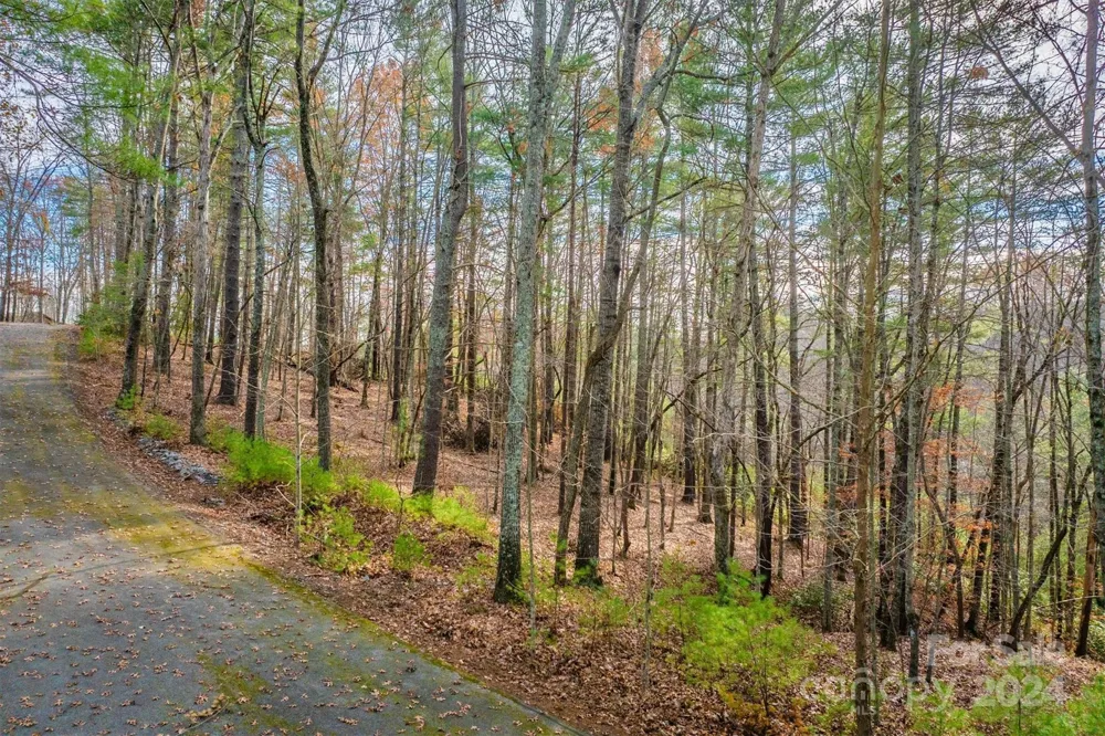 133 James Bob Stafford Drive Nebo, NC 28601