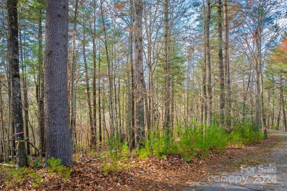 133 James Bob Stafford Drive Nebo, NC 28601