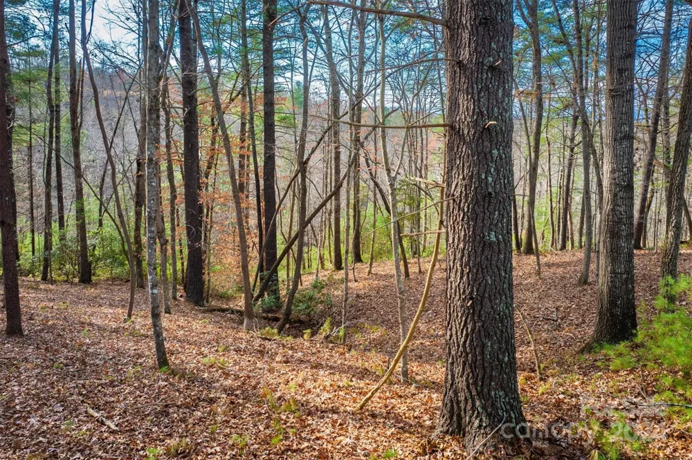 133 James Bob Stafford Drive Nebo, NC 28601