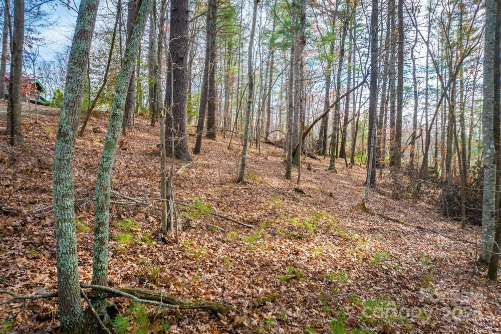 133 James Bob Stafford Drive Nebo, NC 28601