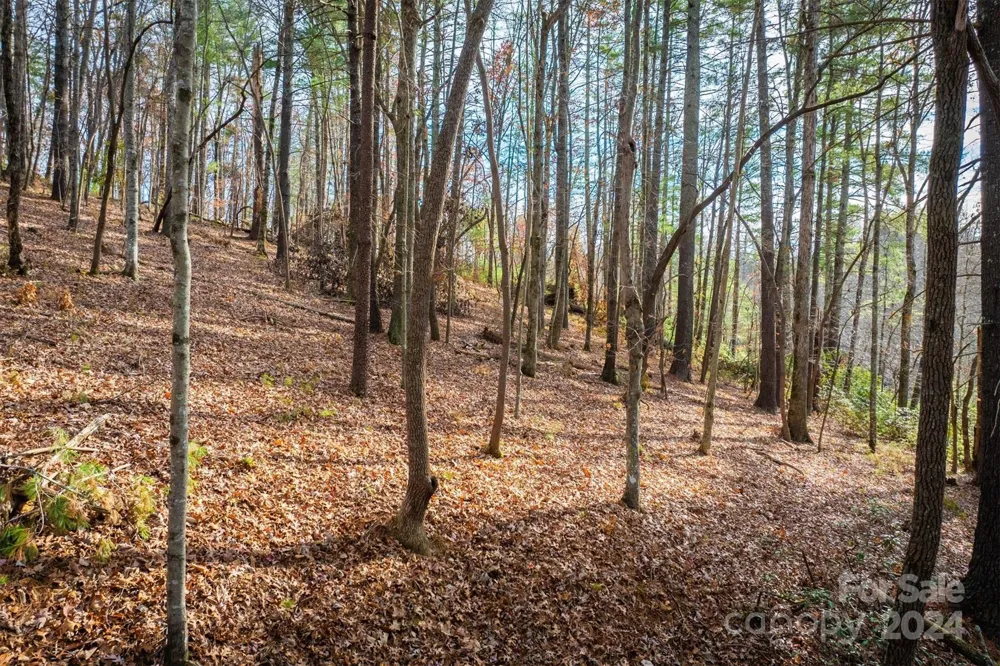 133 James Bob Stafford Drive Nebo, NC 28601