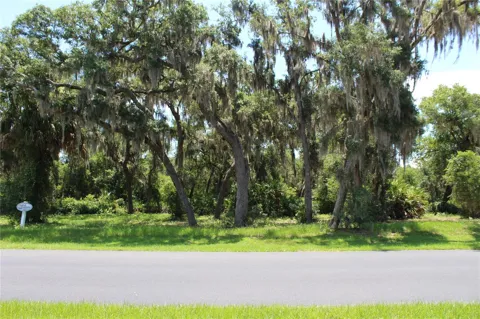3117 BRIGHT LAKE CIRCLE #lot 63