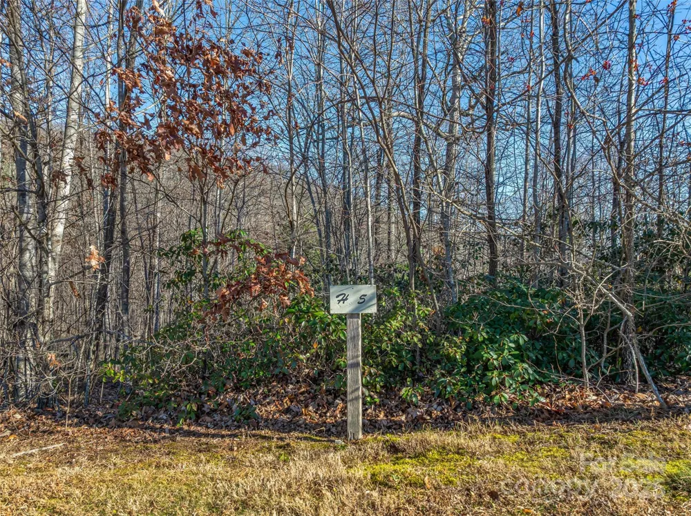 211 Ladys Fern Trail Laurel Park, NC 28739