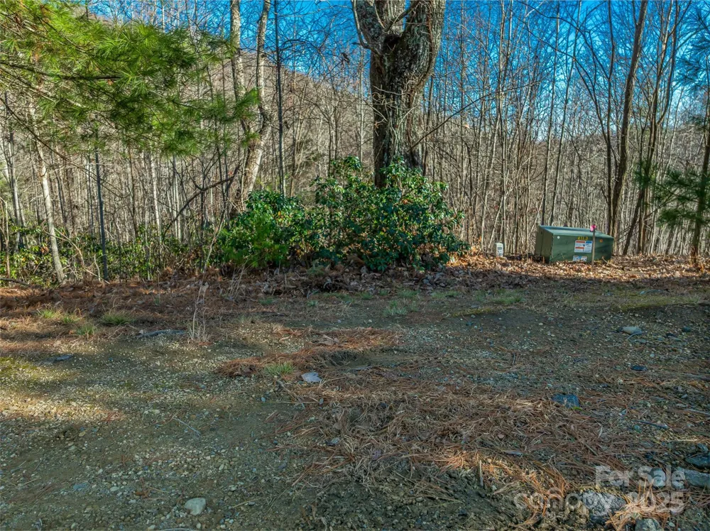 211 Ladys Fern Trail Laurel Park, NC 28739