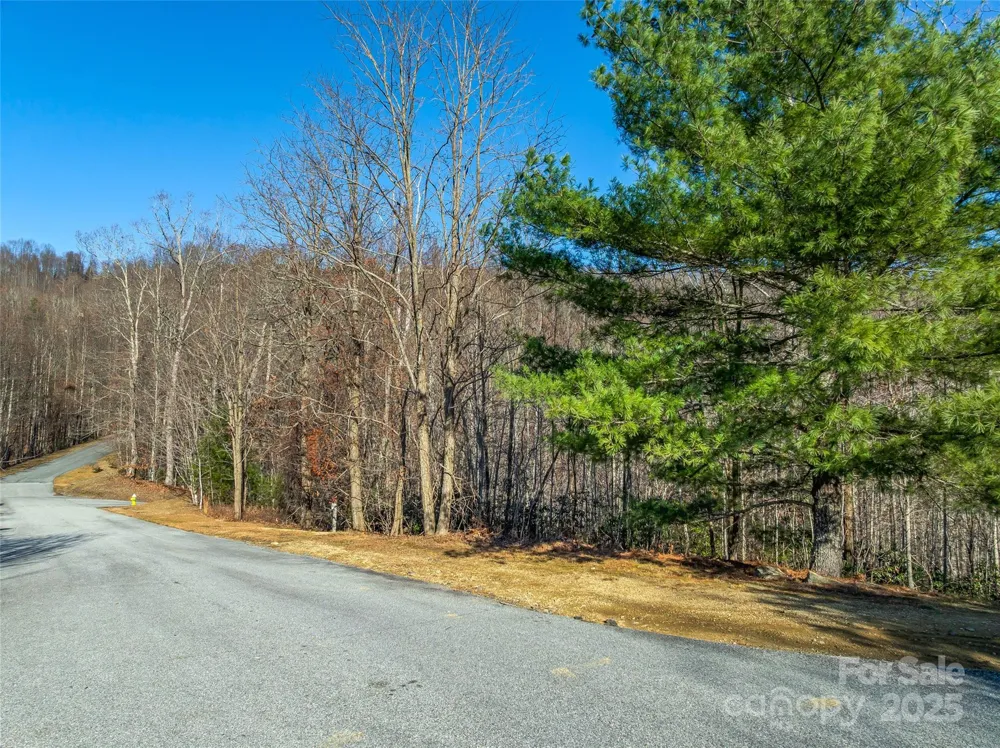 211 Ladys Fern Trail Laurel Park, NC 28739